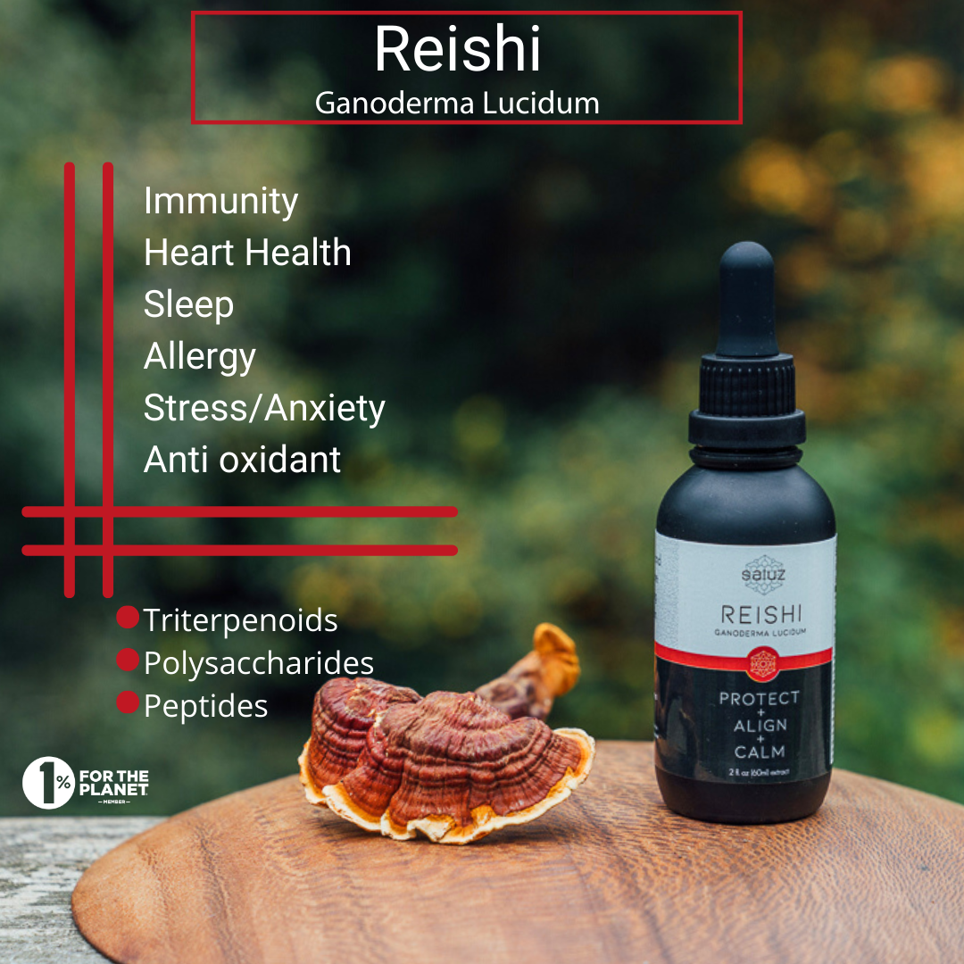 Bottle of Reishi Mushroom Tincture on wooden table beside mushroom, with text highlighting benefits like immune support, stress relief, and antioxidants.